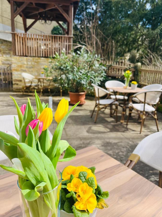 Ferienwohnungen An Der Salvatorkirche - Exklusiv-Apartments Mit Terrasse Κόμπουργκ Εξωτερικό φωτογραφία